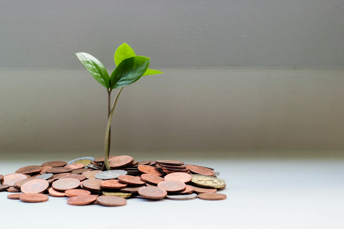 A small green seedling growing out of a pile of copper coins