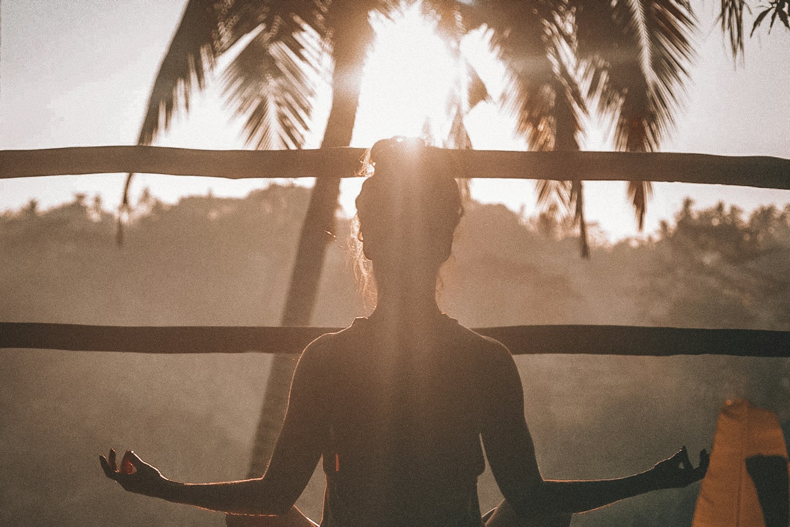 A person sitting cross-legged at sunrise beneath palm trees, starting the day calmly