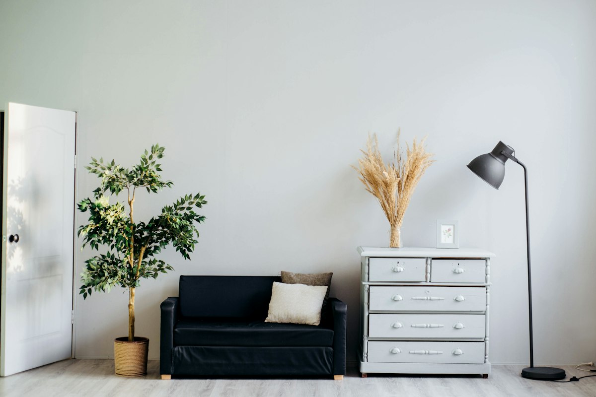A bright minimalist room with a black sofa, a white chest of drawers, a floor lamp and a potted plant