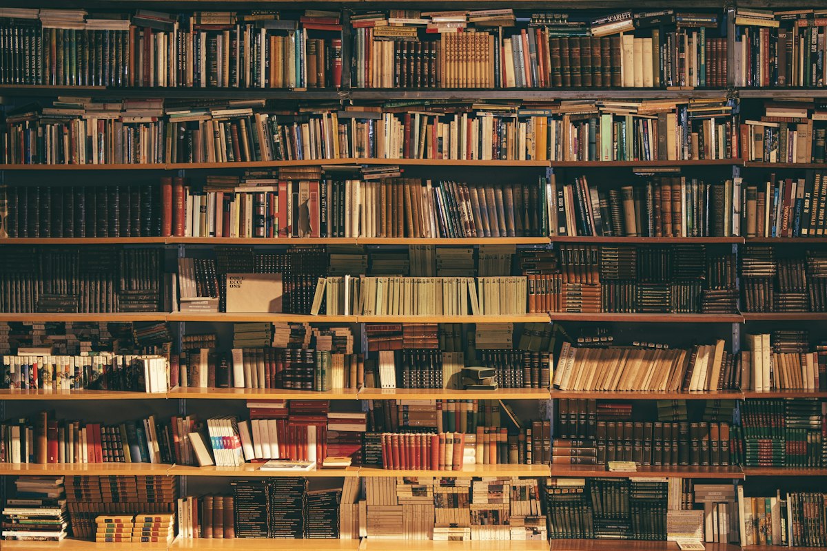 Floor-to-ceiling wooden bookshelves filled with books